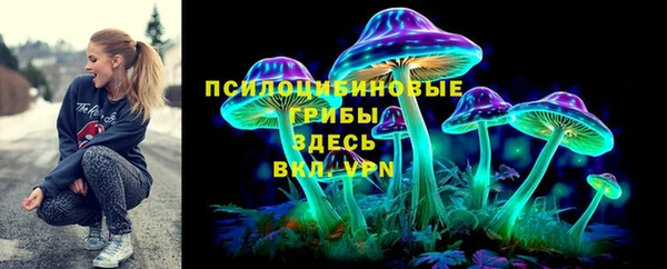 мдпв Бронницы